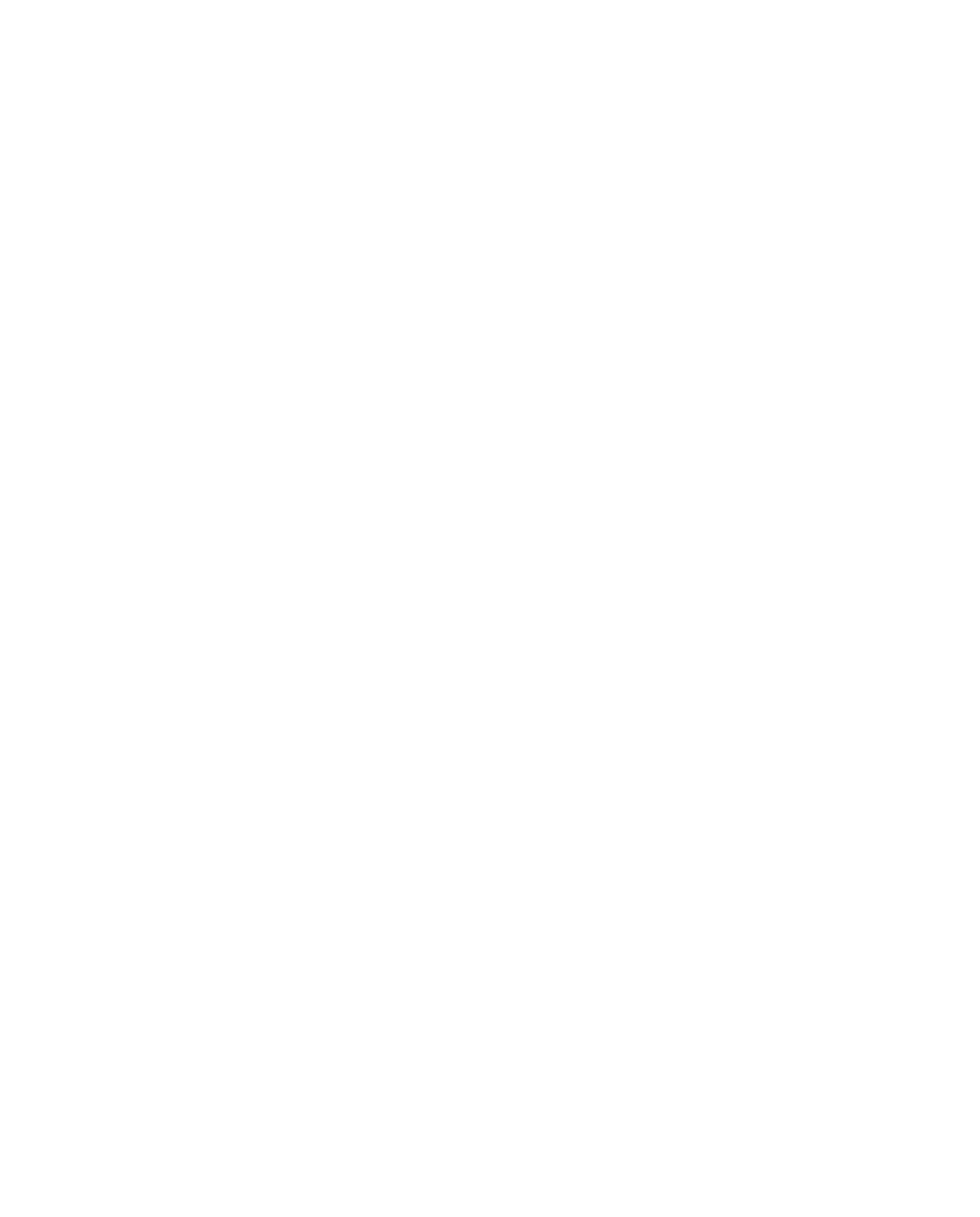 Anna Almeida Nutri Logo